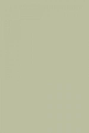 FARROW AND BALL VERT DE TERRE NO. 234 PAINT